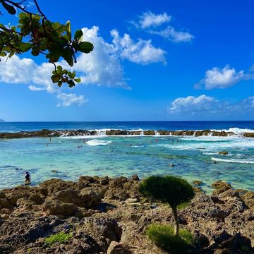ハワイ/Hawaii/スタンドアップパドル(SUP)のオプショナルツアー ハワイ/Hawaii/スタンドアップパドル(SUP)のオプショナルツアー