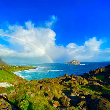 ハワイ/Hawaii オアフ島/ホノルルのオプショナルツアー