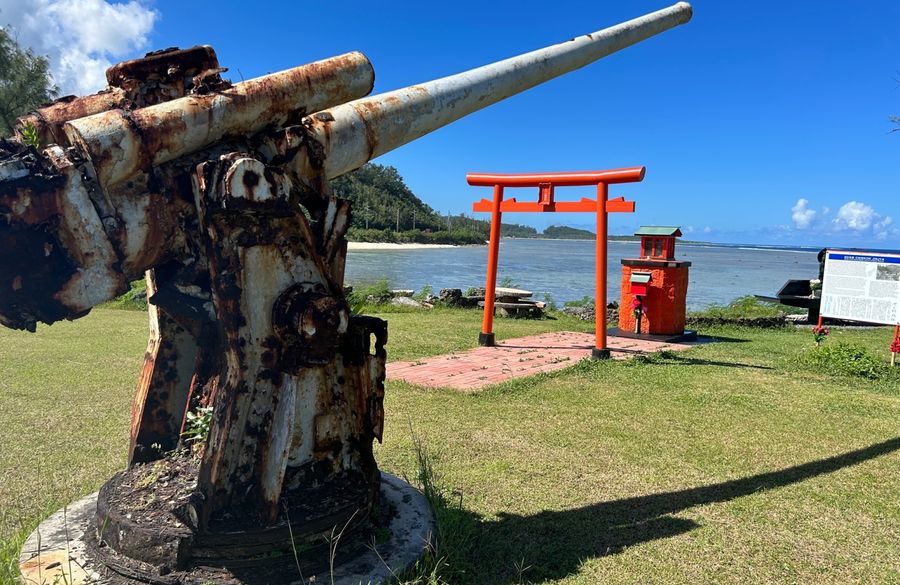 Kumaさま専用】恐竜王国、恐竜時代、ホオジロザメ各種おまとめ