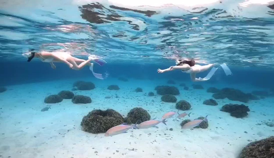 人魚の楽園 アクアスイートピンク （夜の水族館で非日常体験を。20時 